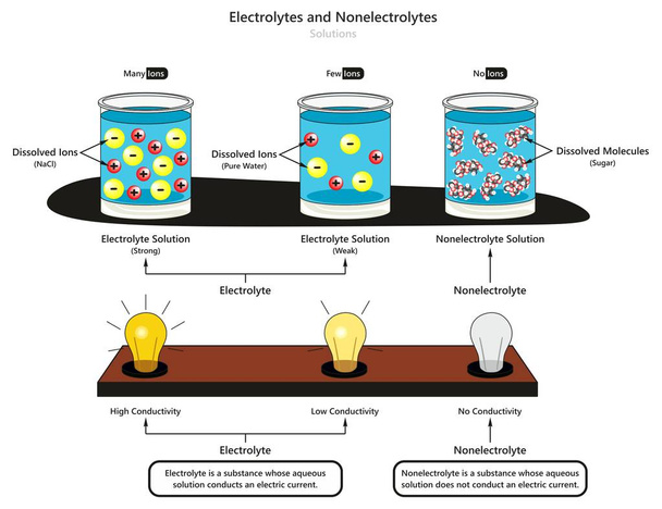 Eletrólitos e soluções não eletrólitos diagrama infográfico mostrando o tipo de eletrólitos fraco e forte também comparação de condutividade e substâncias dissolvidas para a educação química ciência
 - Vetor, Imagem