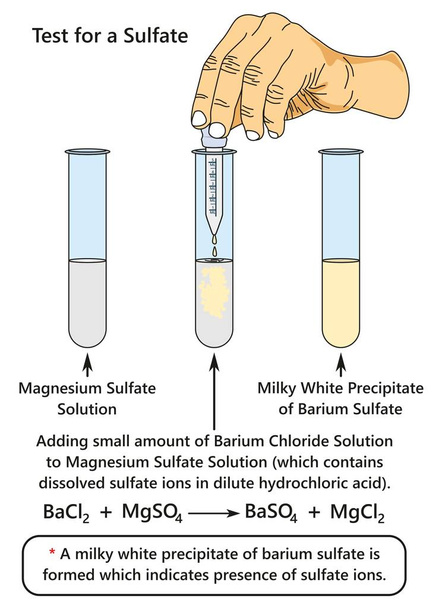 La prueba de un diagrama infográfico de sulfato que muestra un experimento de laboratorio indica la presencia de iones de sulfato al agregar solución de cloruro de bario al sulfato de magnesio para la educación en ciencias químicas
 - Vector, Imagen