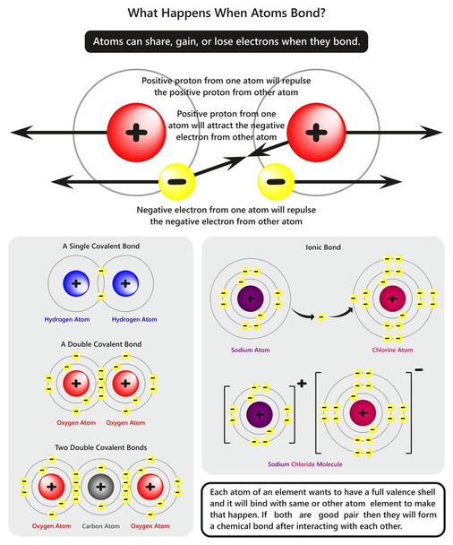 What Happens When Atoms Bond infographic diagram showing how electrons and protons of an atom interact with each other with examples of covalent and ionic bonds for chemistry science education - Vector, Image