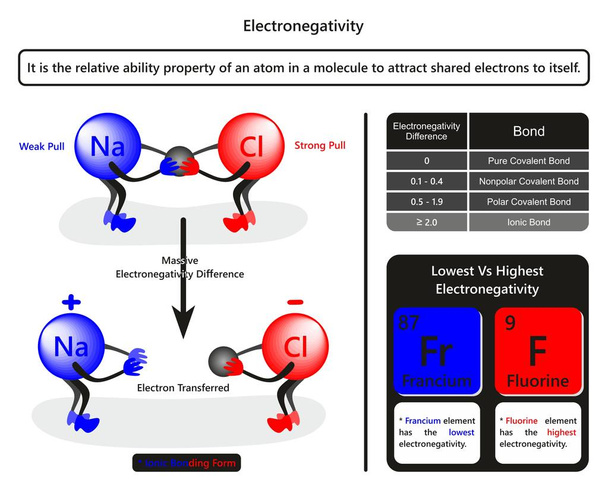 Electronegativity infographic diagram with example of sodium chloride showing how chlorine atom pull electron table related to bond forming due to electronegativity difference for chemistry education - Vector, Image