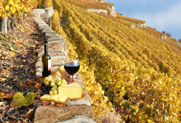 Vino, uvas y queso contra viñedos en la región de Lavaux, Swit
 - Foto, imagen