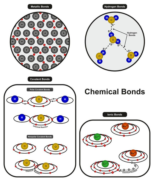 Diagrama infográfico de ligações químicas mostrando tipos de ligação, incluindo ligações covalentes polares iônicas de hidrogênio metálico e não polares para educação em ciências químicas
 - Vetor, Imagem