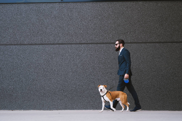 実業家通りで歩いている犬。ウォーキングの親友。ハンサムな実業家ヒップスター歩行犬. - 写真・画像