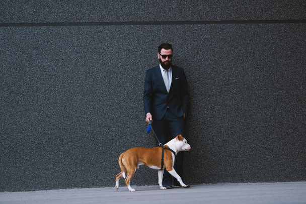 Businessman walking dog at street. Best friends walking. Handsome businessman hipster walking dog. - Fotografie, Obrázek