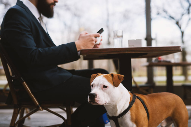 Geschäftsmann im Café mit Hund. beste Freunde im Café.  - Foto, Bild
