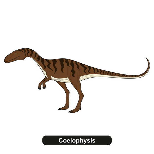 Coelophysis Dinosaurus sukupuuttoon kuollut eläin
 - Vektori, kuva