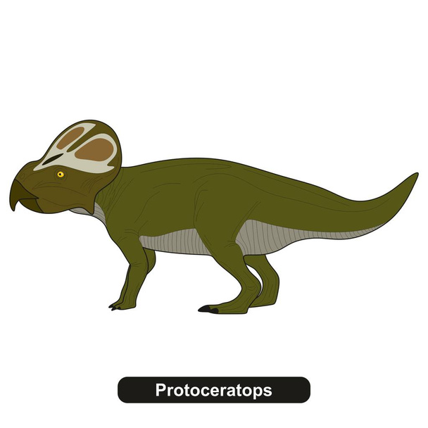 Protoceratops dinozor nesli tükenmiş hayvan - Vektör, Görsel