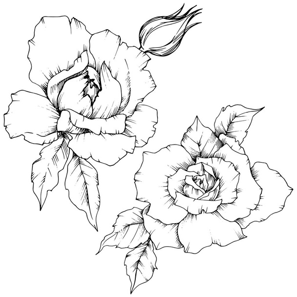 Rose flower in a vector style isolated. Full name of the plant: rose. Vector flower for background, texture, wrapper pattern, frame or border. - Vetor, Imagem