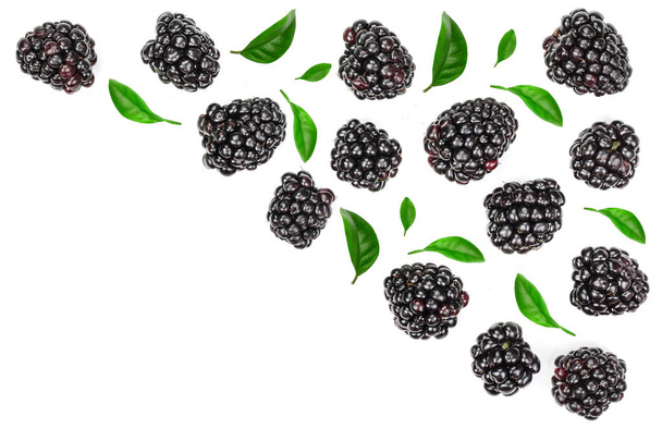 Świeży blackberry z liści na białym tle na białym tle z miejsca kopiowania tekstu. Widok z góry. Wzór prosty lay - Zdjęcie, obraz