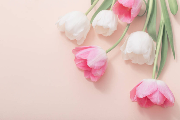 pink and white tulips on paper background - Zdjęcie, obraz