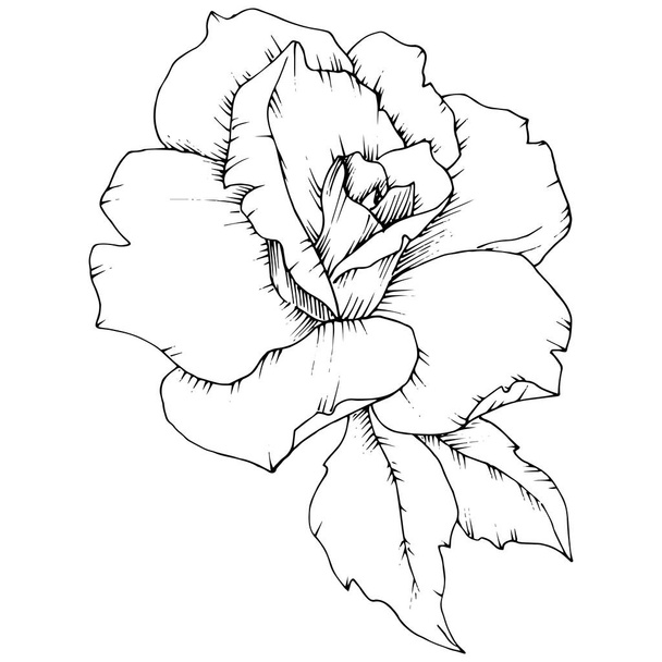 Rose flower in a vector style isolated. Full name of the plant: rose. Vector flower for background, texture, wrapper pattern, frame or border. - Vektor, Bild