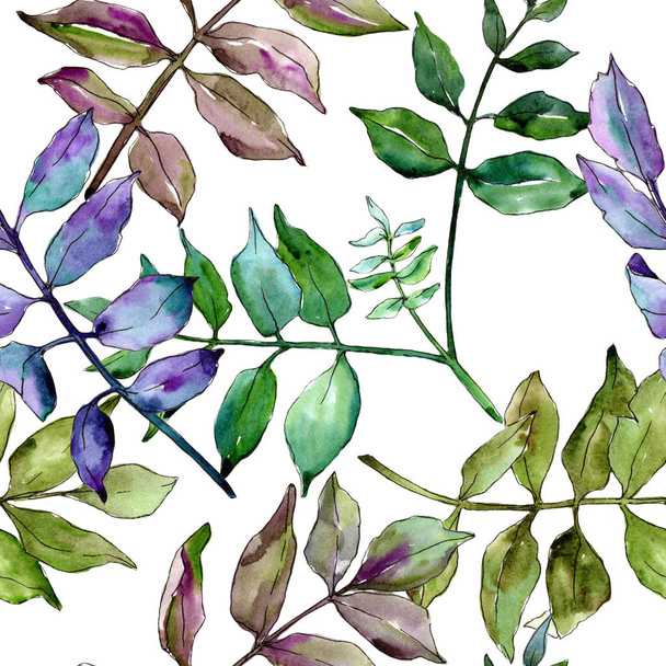 Green ash leaves. Leaf plant botanical garden floral foliage. Seamless background pattern. Fabric wallpaper print texture. Aquarelle leaf for background, texture, wrapper pattern, frame or border. - Photo, Image