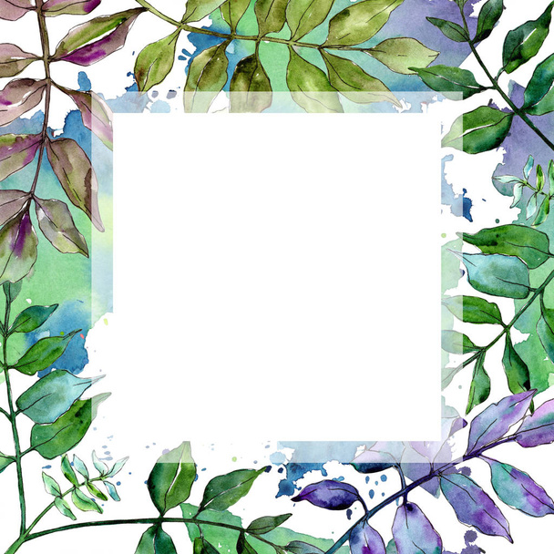 Green ash leaves. Leaf plant botanical garden floral foliage.  Frame border ornament square. Aquarelle leaf for background, texture, wrapper pattern, frame or border. - Photo, image