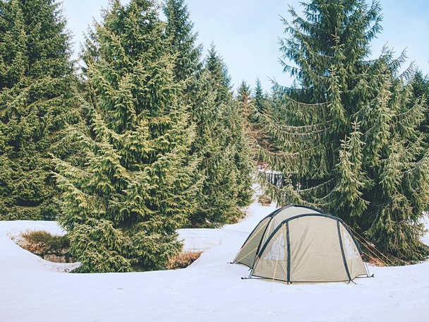 Vaaleanvihreä teltta äärimmäisissä talviolosuhteissa. Maisema peitetty lumella korkealla vuorilla
. - Valokuva, kuva