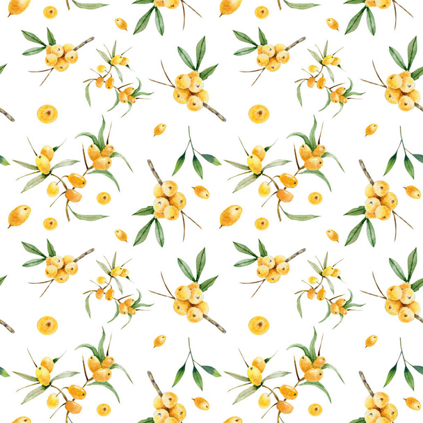 Decorative  seamless pattern of branches and berries of sea buckthorn - Фото, изображение