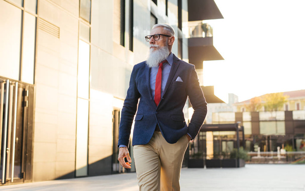 Senior hipster with stylish beard portraits - Zdjęcie, obraz
