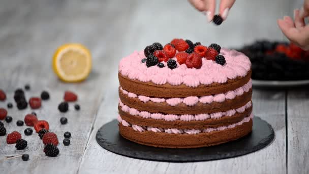 pastry chef decorates a cake with berries - Filmati, video