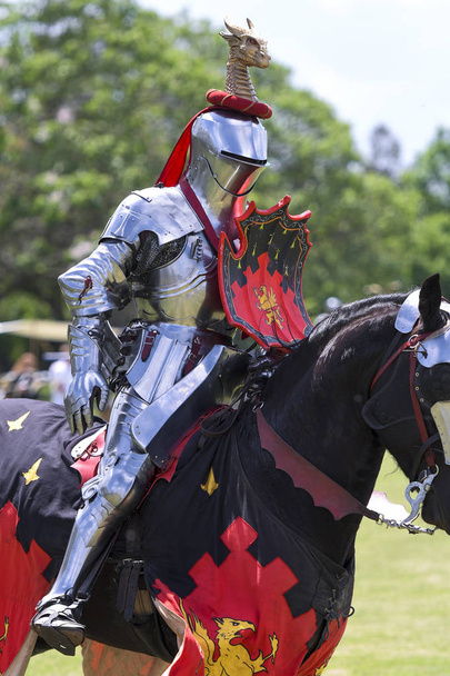 Un chevalier lors de la reconstitution du tournoi de joute médiévale
 - Photo, image