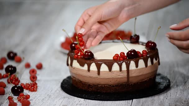 新鮮な果実で飾られたトリプル チョコレートのムースケーキ. - 映像、動画