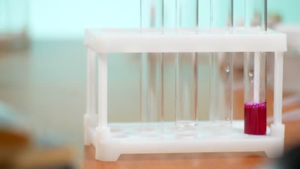 chemical experiments, laboratory test tubes with reagents. 4k, close-up - Felvétel, videó