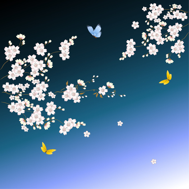 bloem, cherry blossoms - Vector, afbeelding