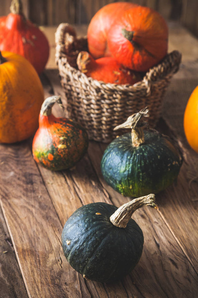 Thanksgiving dinner concept. Pumpkins on old wood - Фото, зображення