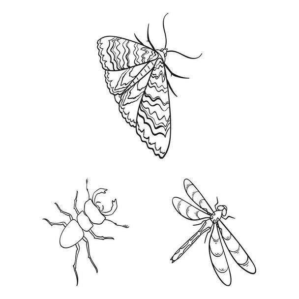 Different kinds of insects outline icons in set collection for design. Insect arthropod vector isometric symbol stock web illustration. - Vektori, kuva