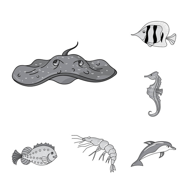 A variety of marine animals monochrome icons in set collection for design. Fish and shellfish vector symbol stock web illustration. - Vektori, kuva