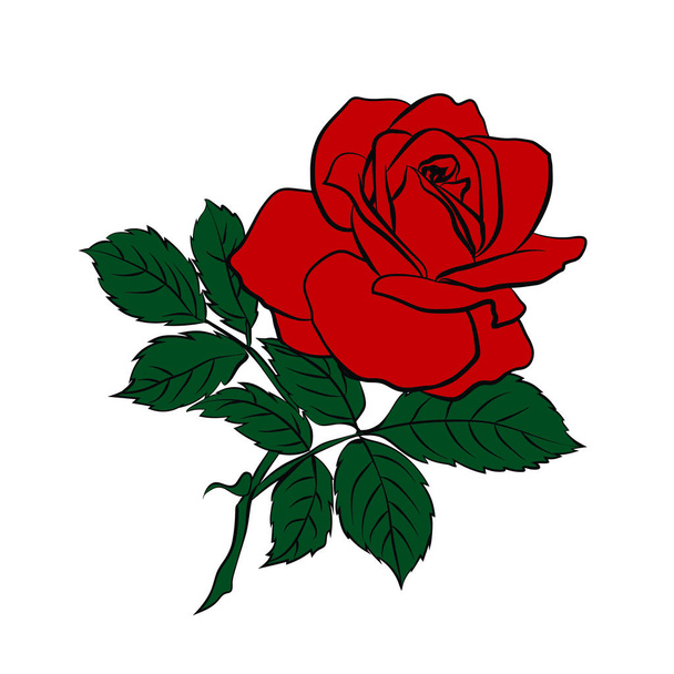 silhouette of rose - Vector, Image