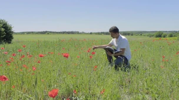 Naukowiec studiuje kwiaty maku na laptopie - Materiał filmowy, wideo