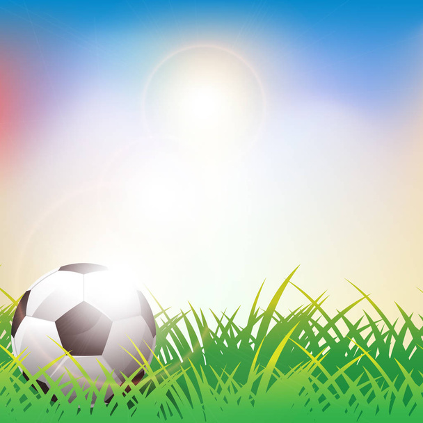 Soccer ball on green grass background - Vector, Image