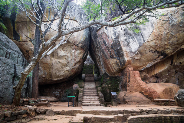 Лестница между огромными оранжевыми скалами с деревом в Сигирии, Шри-Ланка
 - Фото, изображение