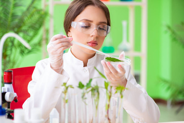 Beautiful female biotechnology scientist chemist working in lab - Фото, зображення
