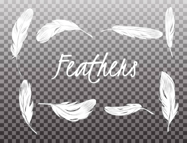 Set of isolated white feathers on transparent background in realistic style vector illustration. - Vector, Image