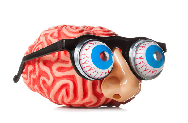 Cerebro de goma con nariz divertida y gafas aisladas sobre fondo blanco
. - Foto, imagen