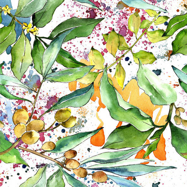Akvarell ezüstfa zöld levelek. Leveles növény botanikus kert virágos lombozat. Varratmentes háttérben minta. Szövet nyomtatási textúrát. A háttér, a textúra, a burkoló minta Aquarelle-levél. - Fotó, kép