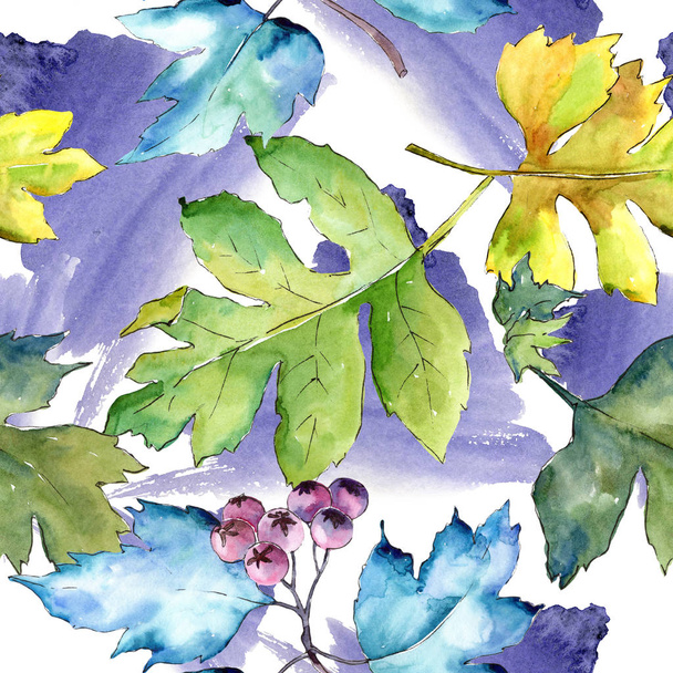 Akvarell galagonya színes levelek. Leveles növény botanikus kert virágos lombozat. Varratmentes háttérben minta. Szövet nyomtatási textúrát. A háttér, a textúra, a burkoló minta Aquarelle-levél. - Fotó, kép