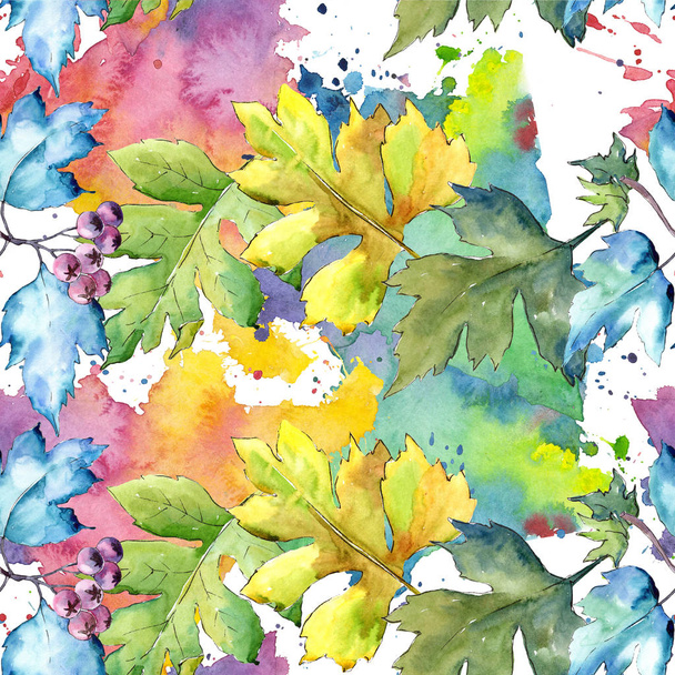 Akvarell galagonya színes levelek. Leveles növény botanikus kert virágos lombozat. Varratmentes háttérben minta. Szövet nyomtatási textúrát. A háttér, a textúra, a burkoló minta Aquarelle-levél. - Fotó, kép