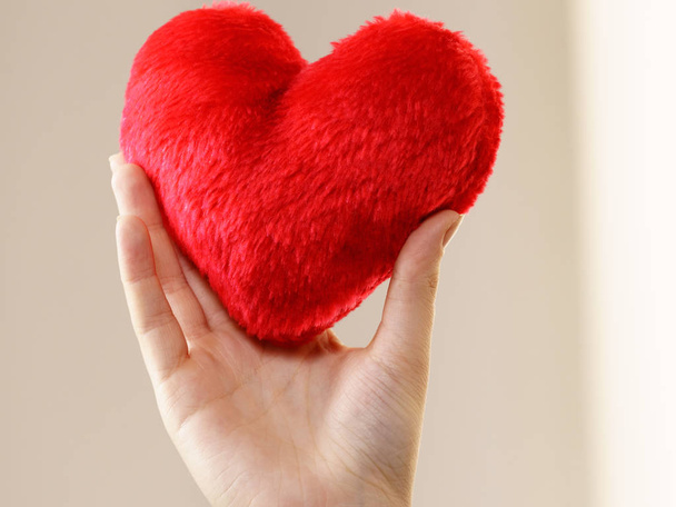 Woman hand holding small romantic red heart shaped pillow, perfect gift for Valentines day. - Фото, зображення