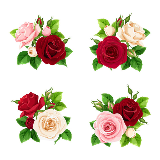 Vector set of pink, burgundy and white roses isolated on a white background. - Vector, Image