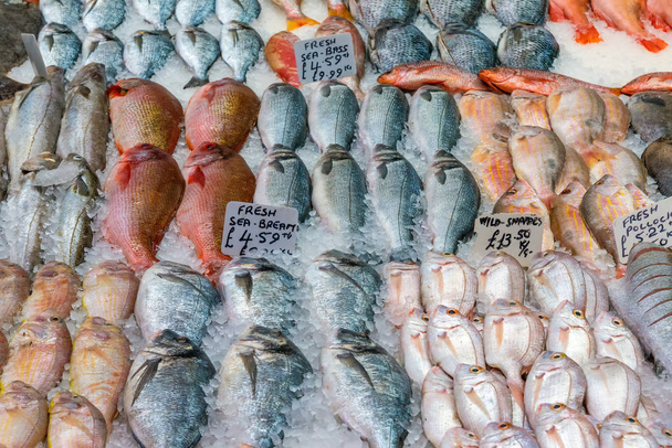 Fresh fish for sale at a market in London, UK - Photo, Image