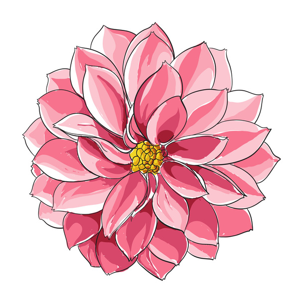 Floral illustration - Vektör, Görsel