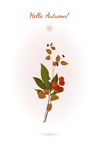 Autumn still life with yellow and green leaves and rowan berries. - Vector, Image