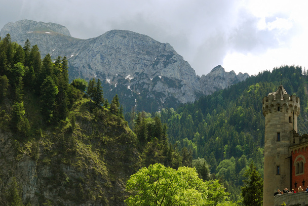 Forêt des Alpes et tour de Neuschwanstein
 - Photo, image