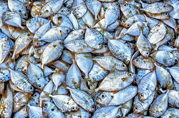 Pesce fresco al mercato dei frutti di mare.Sfondo alimentare.Pesce tradizionale nel mercato
. - Foto, immagini