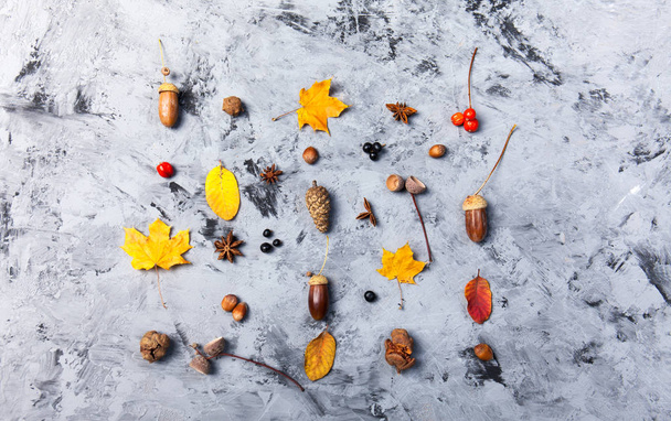 Composition automnale motif composé de feuilles d'automne, étoile d'anis, cônes de pin sur fond sombre à plat
 - Photo, image