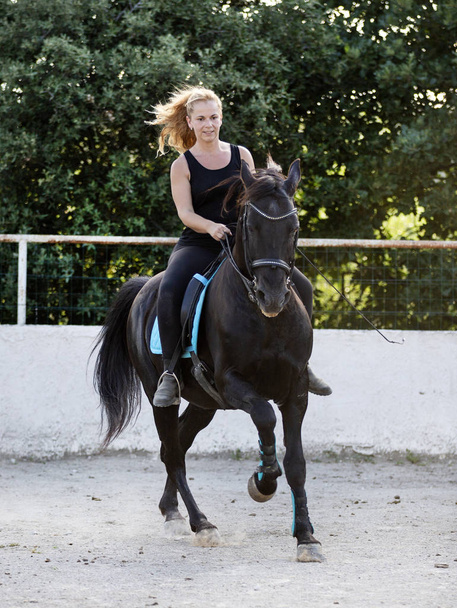  jazda dziewczyna są szkolenia jej czarny koń - Zdjęcie, obraz