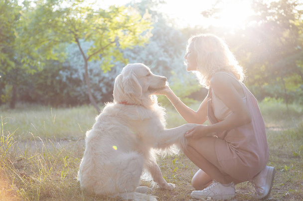 Cute young girl on a walk with a beautiful beautiful dog in the park. - 写真・画像