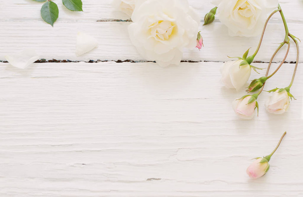roses on white wooden background - Fotoğraf, Görsel