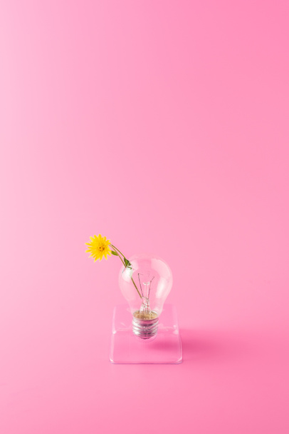 vergrote weergave van de gloeilamp met mooie gele bloem op roze - Foto, afbeelding